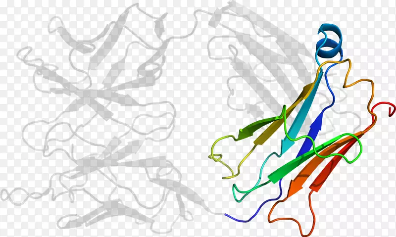 ƽ��������������������-������