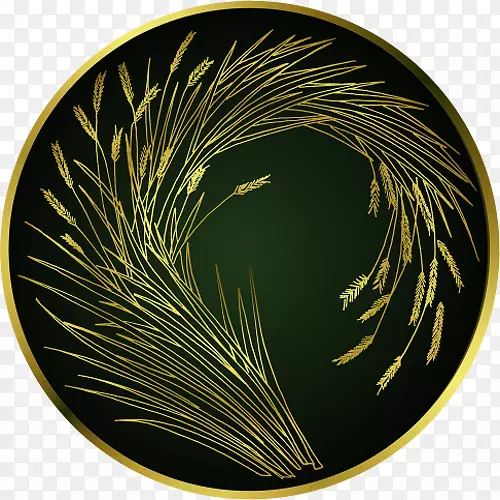 Բ���;�����Բ-������