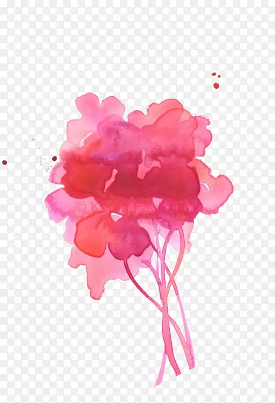 ������ˮ�ʻ�����ˮ�ʻ���Ʒˮ�ʻ�����-������