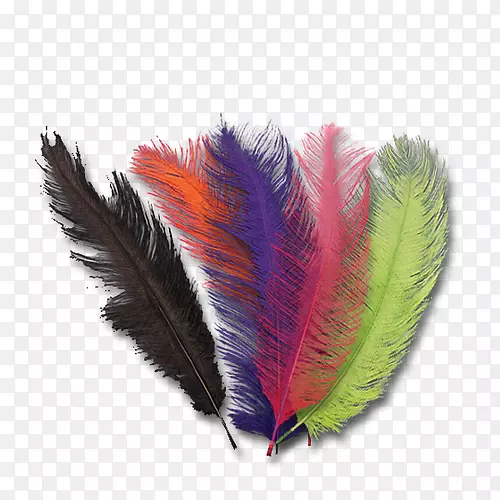 ��ë-��ë-������