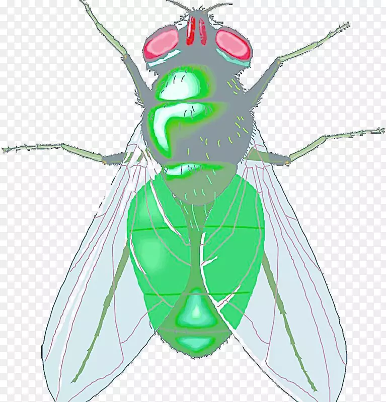 ��Ӭ������ݼ�������-������ͨ����-������