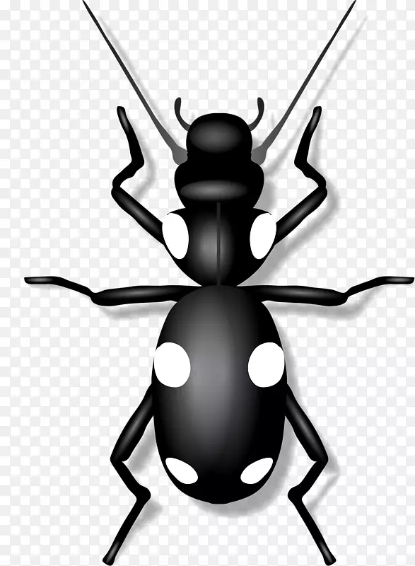 ���������.С������-������