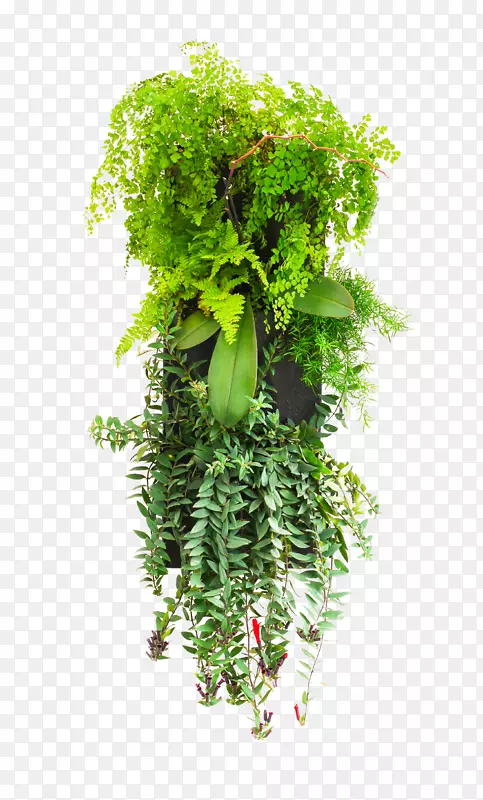 ��ɫǽ��԰���贰��Ҷ���ʹ���-����-������