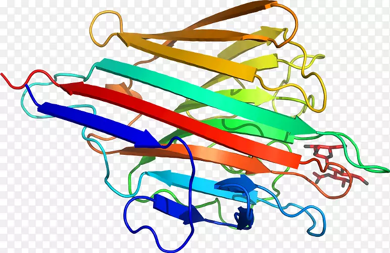 �ߵ������-��-������