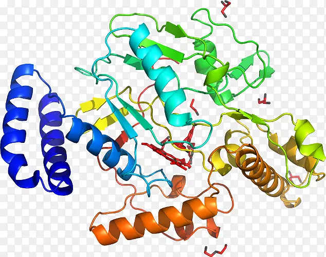 �ߵ������������-������