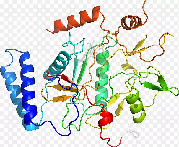 �ߵ������������-������