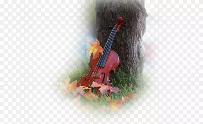 ���飬���죬�¶�������������-����-������