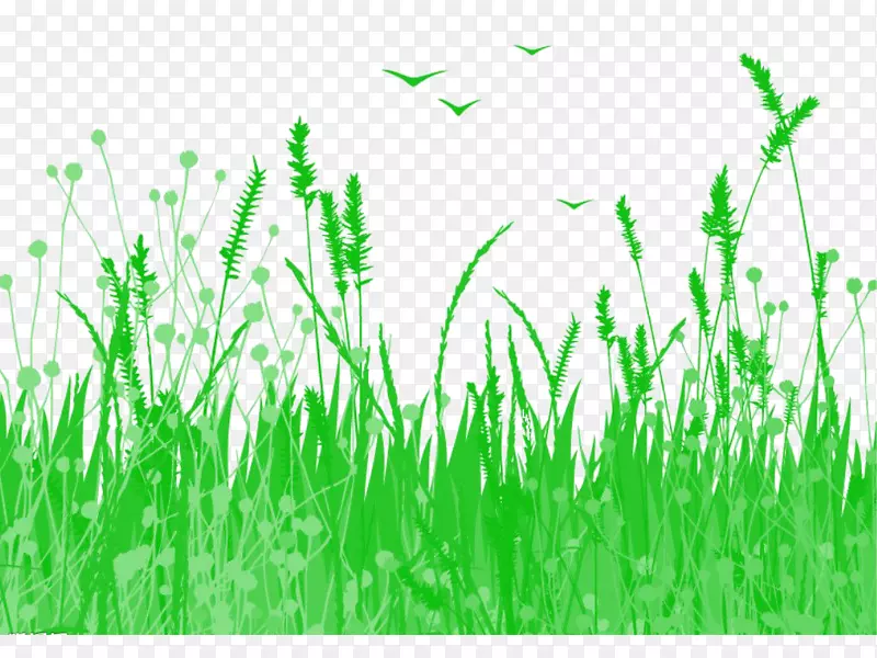 ˮ�ʻ���ͼ.��-������