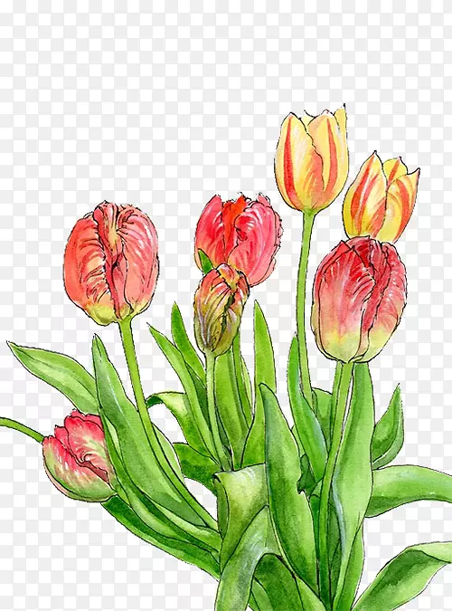 ������ƻ�-��������-������