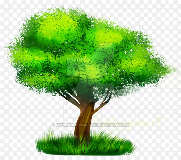 ��-��-������