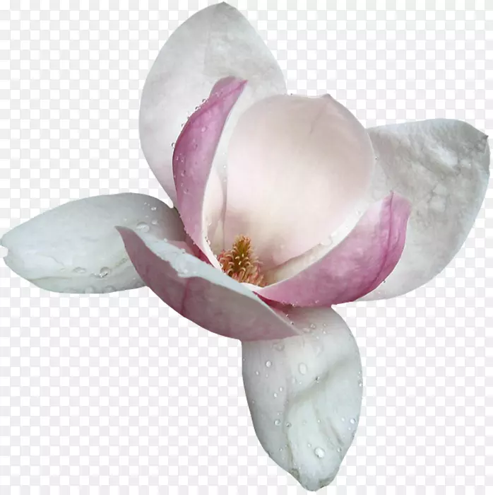 ľ��������-������