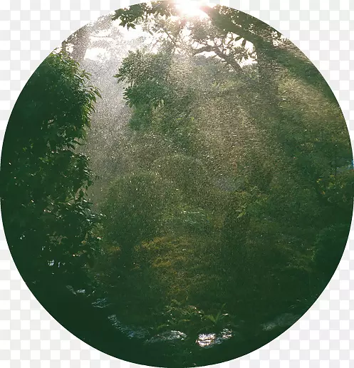 ����ֲ��/m/02j71�����ιⲩ��-������