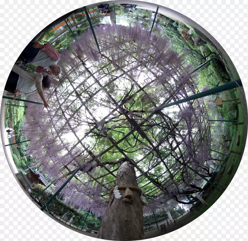 ����EF͸����װ������50 mm f/1.4 ex dg hsm͸������͸��Sigma��˾-�������ͷ-������