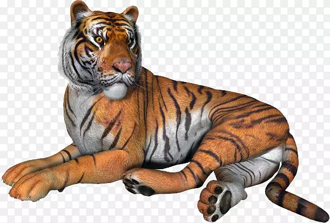 ������Ӱ��������-������