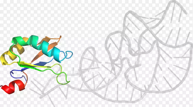 ƽ��������������������-������