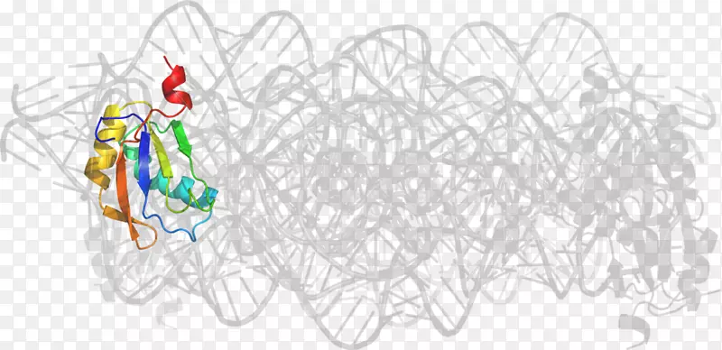 ���-������