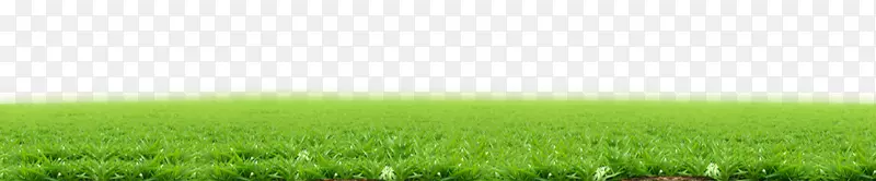 ��ƺ����ݡ����ء���Դǽֽ-��-������