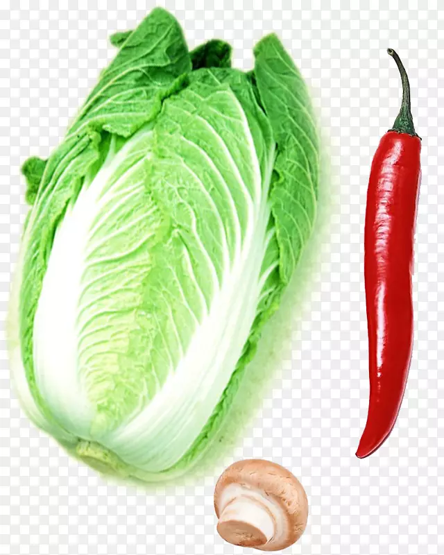 ���������߲�С���������Ĳ�-������