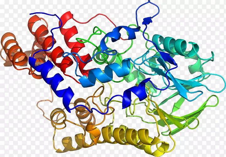 ���������鱦�л�����������鱦����-������