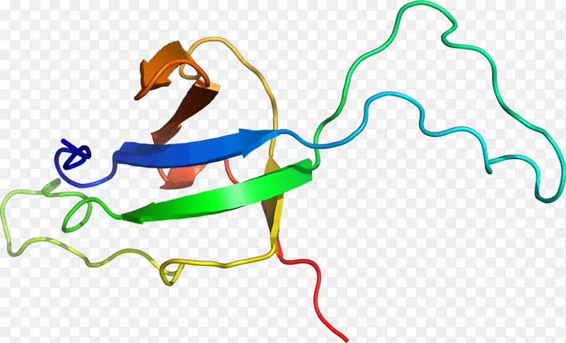 �����߼�������-������