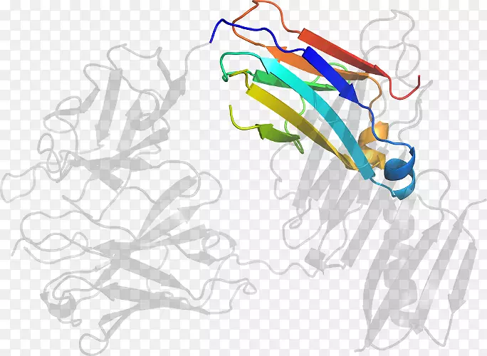 ƽ����Ƽ�����.���-������