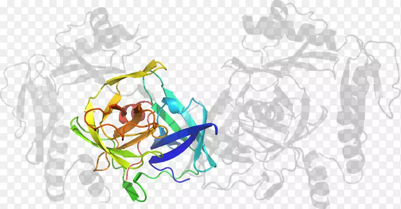 ƽ����Ƽ�����.���-������