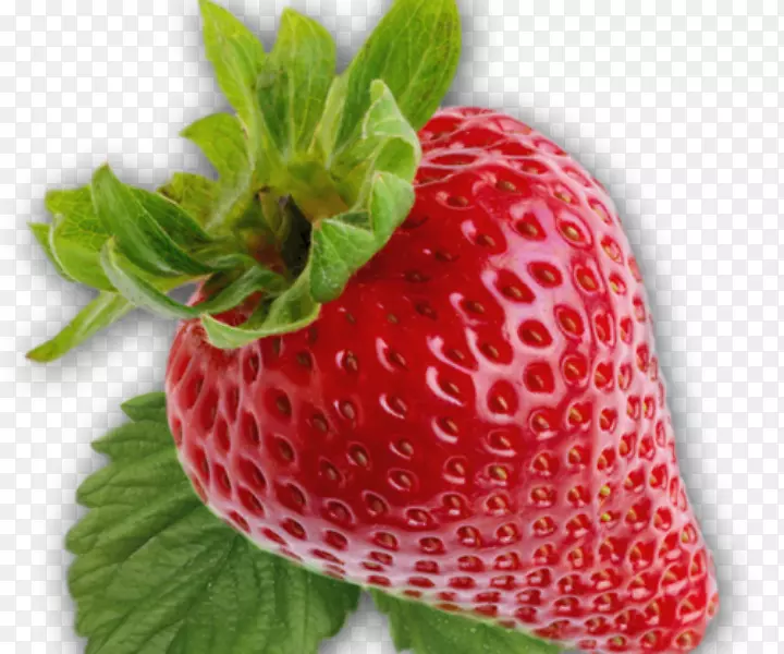 ��ݮ������-��ݮ-������