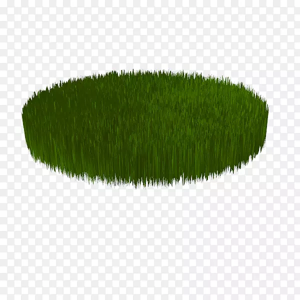 �̱���-������