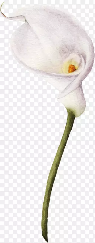 ��ˮ�ʻ�.С�Ż�-������