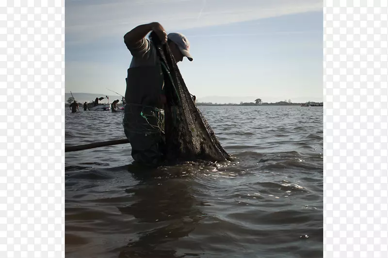 ���е�������-����-������