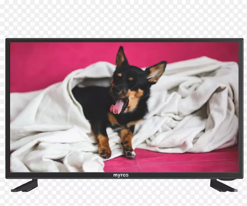 �Ĵ���������Ȯ�ж�������è-������