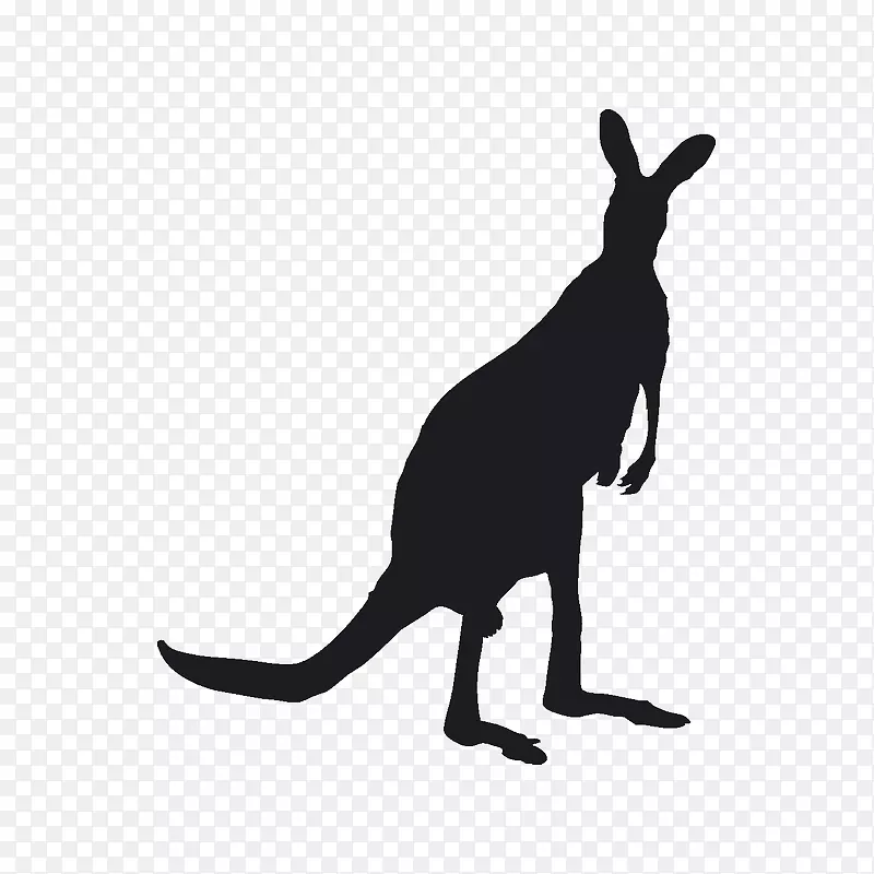 ���������Ӱ�����-������