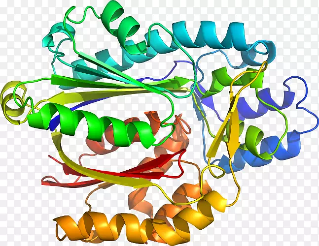 �߲����鱦�л��������-�߲�-������