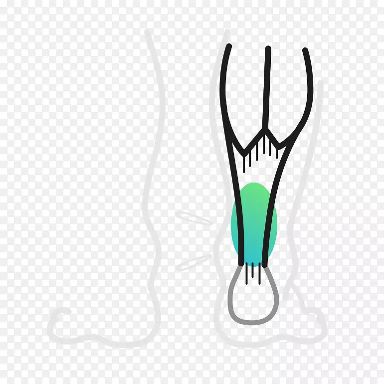 ��ָ���������-������