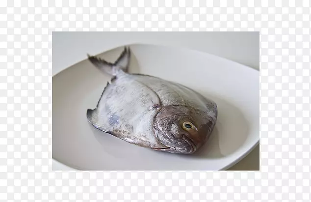 ��ը����-������