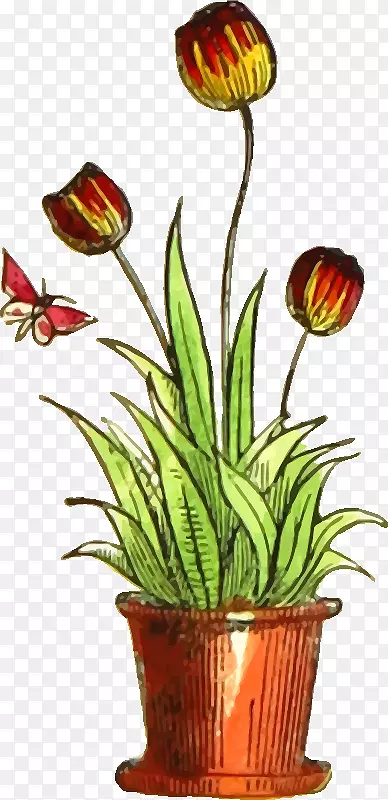 �����㻨������-������-������