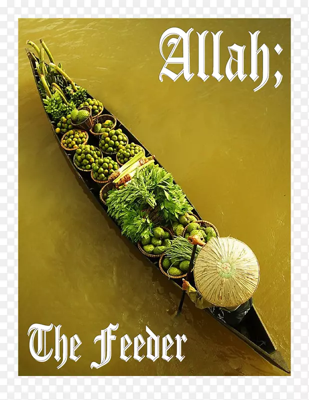 ��Ӱ��һ-������