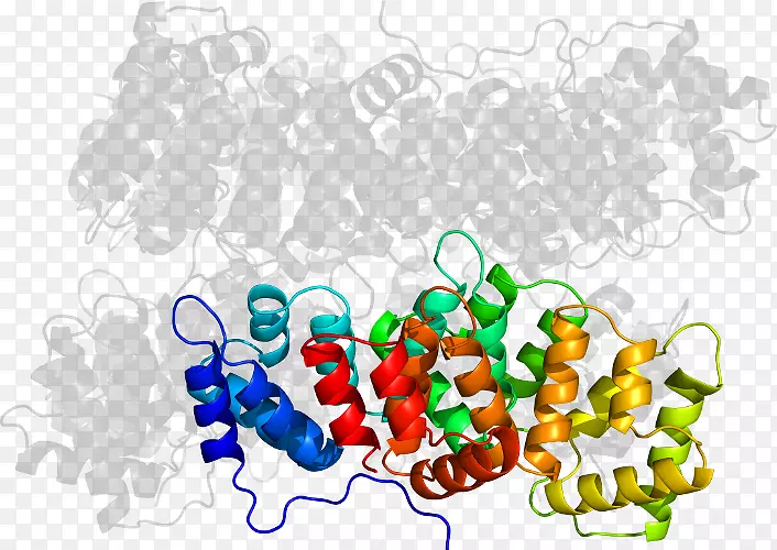 �����ֽ���Լ���������-������