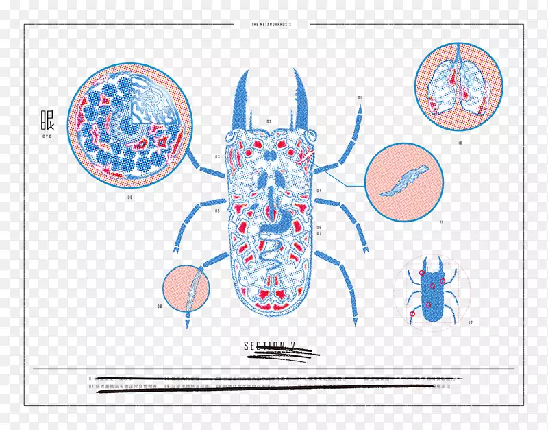 ƽ����ƻ滭���������-������