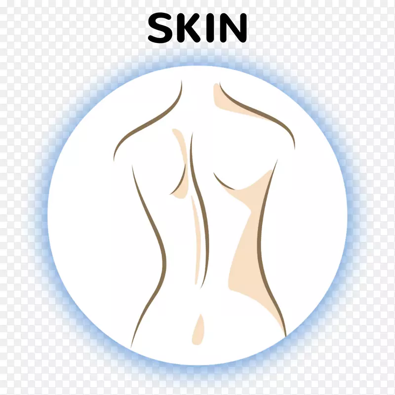 ��־Ʒ����֯���-������