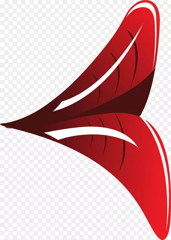 �߼�����-��-������