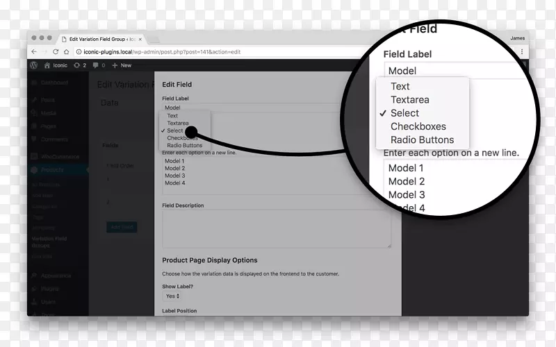 ��ѡ��ť��ѡ���ı���-��ť-������