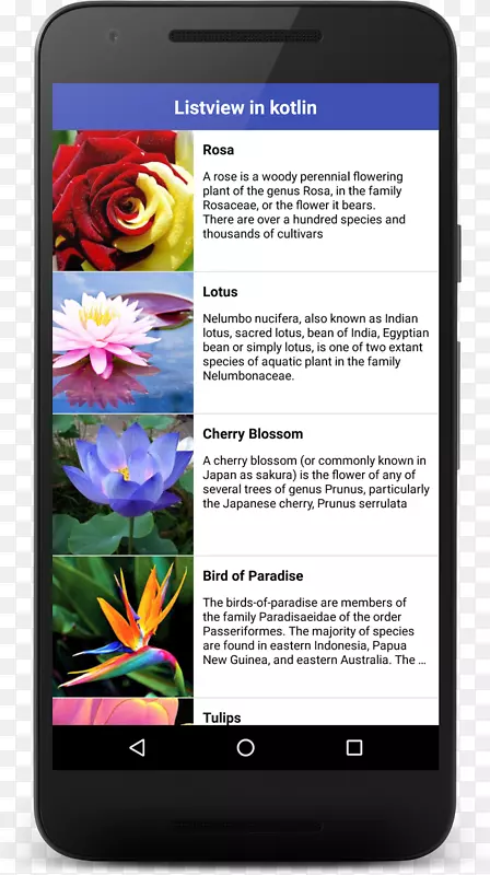 Smartphone kotlin android studio���Ե绰-�����ֻ�-������
