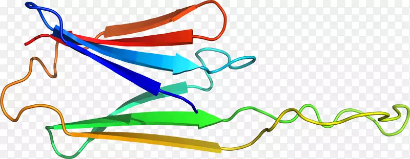 �ߵ������-��-������