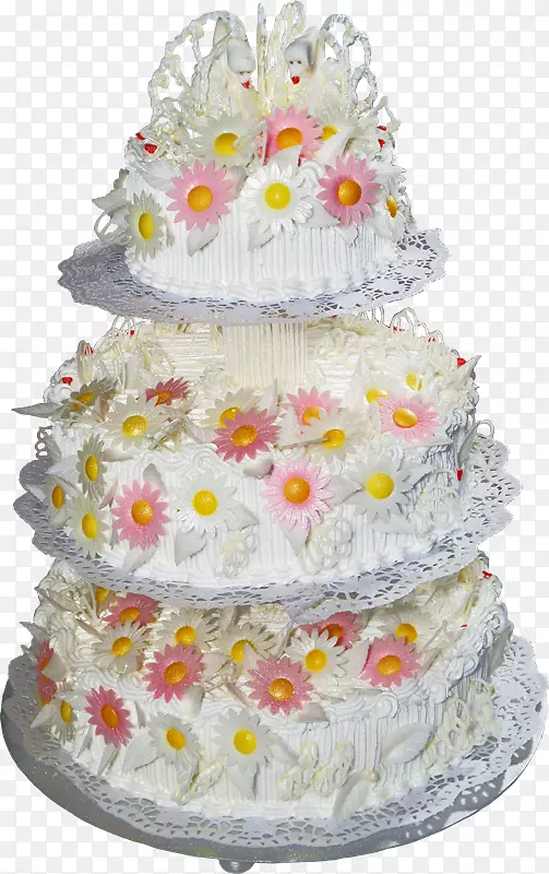 �����ֽ����������-������