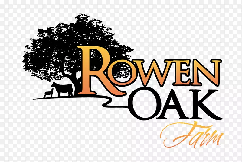 ���־����˹·Ʒ����˹��-����-������