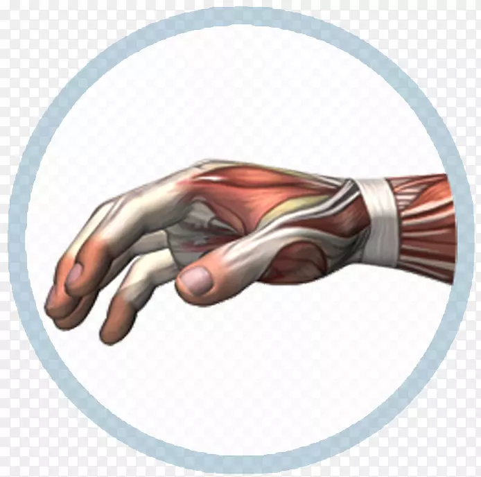 Ĵָ���-������