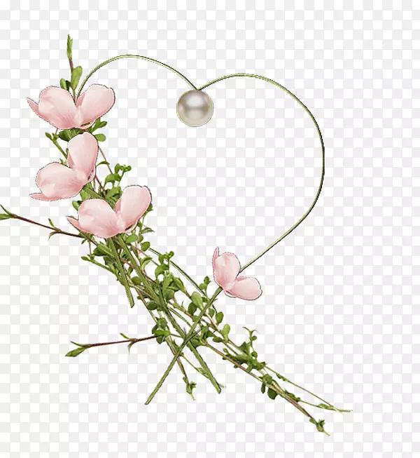 ��������л�����ֲ�ﾥ��-������