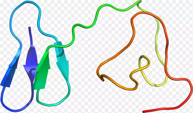 �ߵ������-��-������