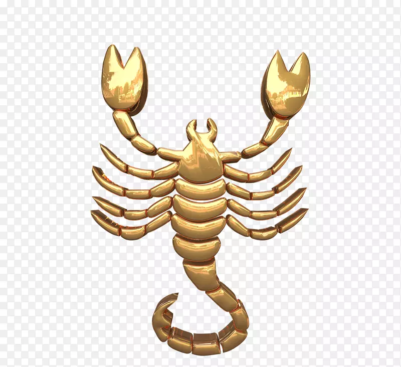 ��Ы������ռ������ţ��-������